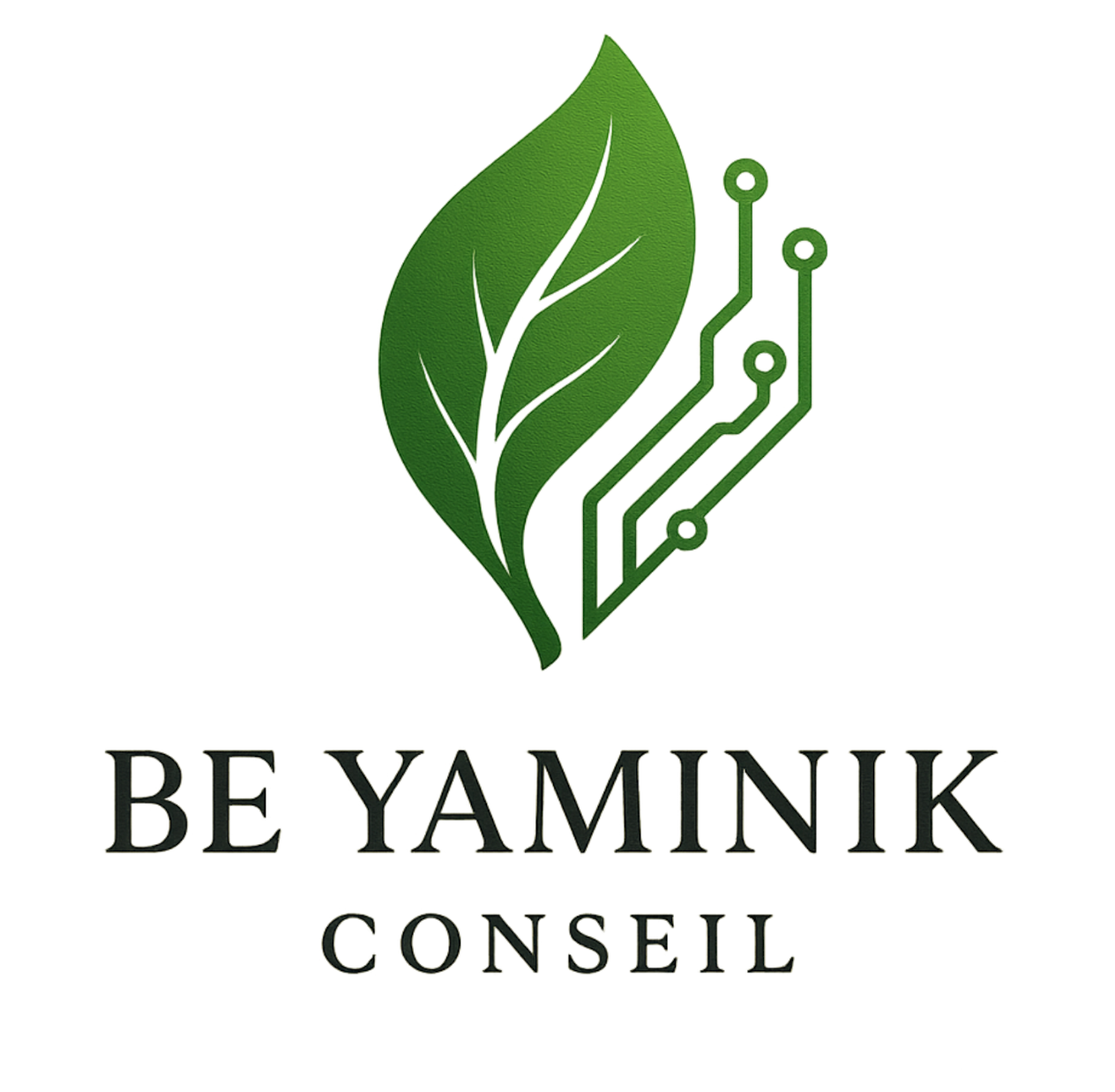 Be Yaminik Conseil